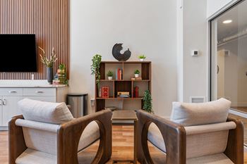 Two chairs facing each other in a room with a tv and a plant.